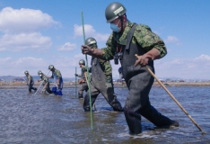 不明者の捜索活動.jpg